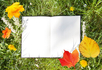 The open album lies on green grass with leaves and in the park. White sheet on lawn, free space for your design, mock up