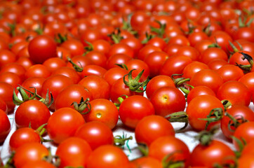 A lot of red, ripe tomato close-up