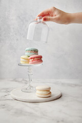 French cake macarons on a marble background