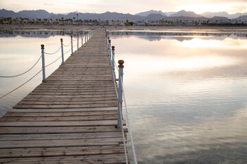 The background is a beautiful wooden long pier