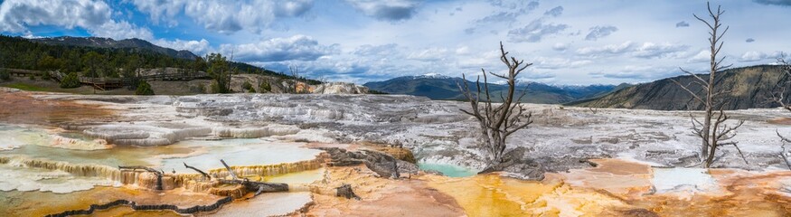 hydrothermal areas of mammoth hot springs in yellowstone national park in wyoming in the usa
