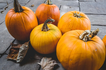 A lot of orange colored pumpkns ready for pumpkin cakes, pie, decoration for Halloween. Autumn background