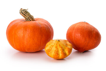 Orange pumpkins on a white background. Isolate