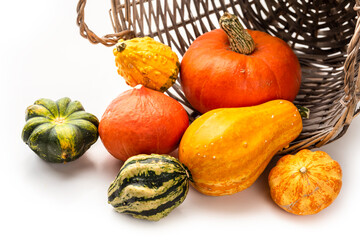 Multi-colored pumpkins in a wicker basket on a white background. Isolate
