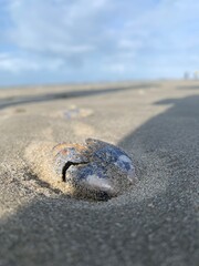 Wijk aan zee in the Netherlands 