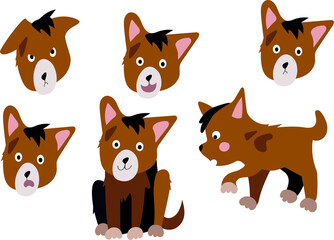 set of emotions of a young dog. sad, angry and happy puppy. cute vector flat cartoon character. care of Pets