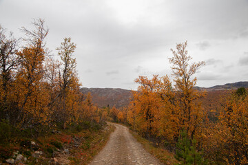Fototapeta na wymiar Old mountain road runs through a colorful autumn landscape