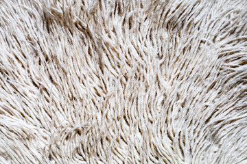 Close-up of wool beige carpet. Copy, empty space