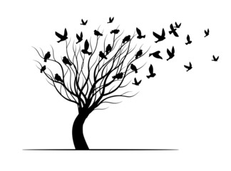 Shape of Tree, wind and black birds. Vector outline Illustration. Plant in Garden.