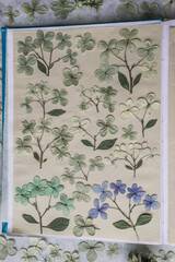 Notebook with pressed hydrangeas herbarium and hydrangea stems