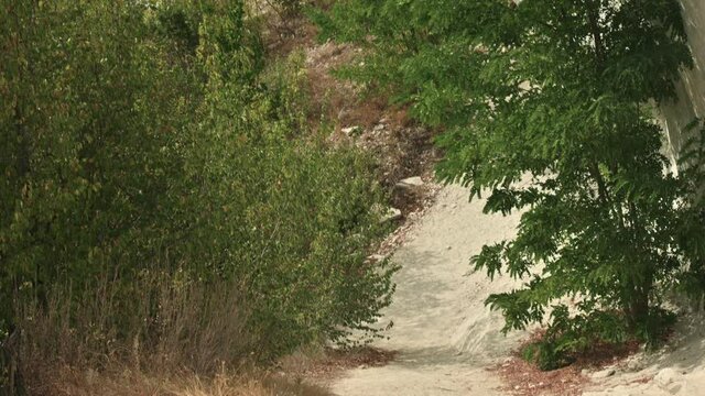 Chalk wall above Bechir's Gorge near Soroca, Moldova