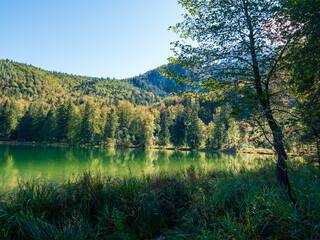 Fototapeta na wymiar Frillensee, Bayern, an einem sonnigen Herbsttag
