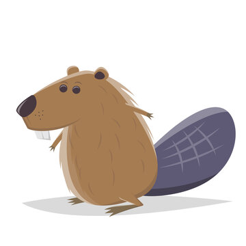 funny cartoon beaver vector illustration