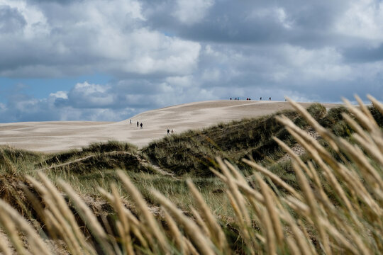 Moving sand dune Rabjerg Mile in northern Jytland, Denmark, Europe