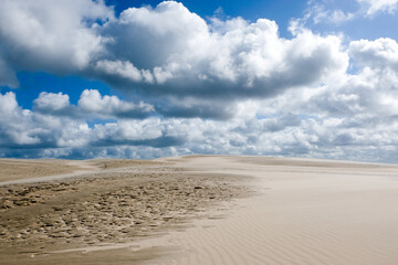 Fototapeta na wymiar Moving sand dune Rabjerg Mile in northern Jytland, Denmark, Europe