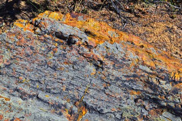 Petrified Wood close up, colorful shades of red, orange, purple, yellow and grey example of fossilized mineralization and permineralization and replacement, along the Escalante Petrified Forest State 