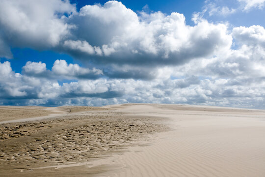 Moving sand dune Rabjerg Mile in northern Jytland, Denmark, Europe