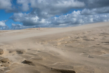 Moving sand dune Rabjerg Mile in northern Jytland, Denmark, Europe