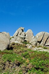 Rocks on a sunny monday. Relaxation. Quiet landscape