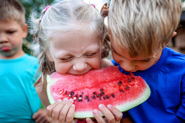 Healthy summer food. Group of kids eating watermelon together in the backyard of farmhouse