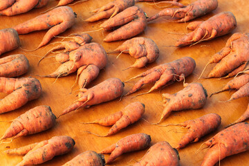 Misshapen and ugly carrots on wooden table at street market