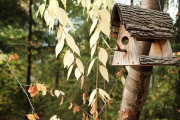 bird house on a tree in the park