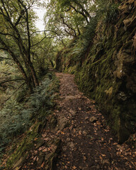 Dollar Glen Scotland