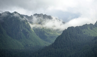 Fototapeta premium Foggy day on cruise tour to view glaciers in Kenai Fjords National Park 