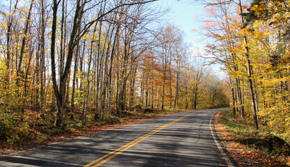 Fall Color in Vermont