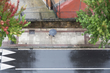 Una persona pasea bajo la lluvia  con  un paraguas negro en la calle entre dos árboles.