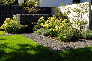 flowers in the garden