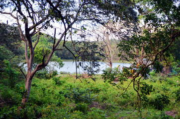Colombia - Big Pond on San Andres Island
