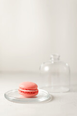 delicate multi-colored macaroons on a dish with an open transparent glass lid on a light background. with place for text.