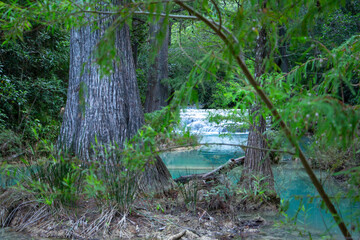 Río en bosque con cascadas, árboles, azul turquesa, hojas verdes, pozas de agua azul, salto de agua.