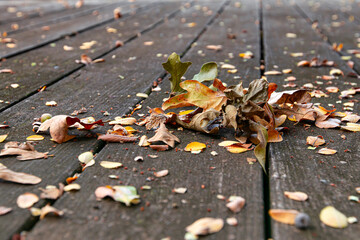 Fall / Autumn is here with the colors of the season.