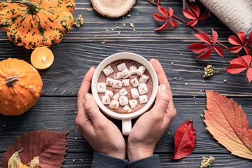 Female hands holding hot drink cocoa cup with marshmallow on autumn fall holiday cozy background pumpkin, orange leaves on brown wooden table, happy halloween thanksgiving decoration, above top view.  - Powered by Adobe