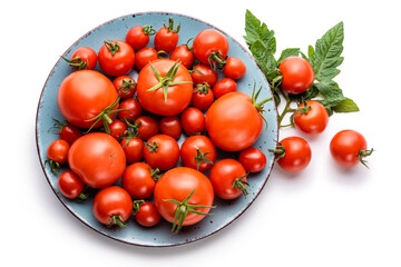Tomatoes of different sizes on a blue plate on a white background