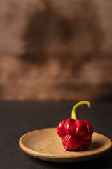 Fresh hot chilli. Ripe Trinidad Scorpion Moruga (Capsicum Chinese)  on plate over dark background with space for text. Ideal for food recipe or restaurant menu signs