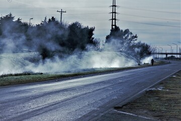 niebla en plena ciudad al lado del camino en bahia blanca argentina 