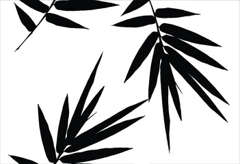 Bamboo leaves, isolated on background, Black and white bamboo leaves
