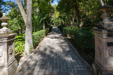 Obraz premium San Miguel de Allende, Benito Huarez park in Zona Centro in historic city center