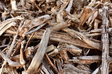 Pile of wood roots. Root from tree from peat bogs. Roots from trees after draining a swamp for peat and oil extraction. Gray wooden background of dead trees. Texture of dry birch and pine branches