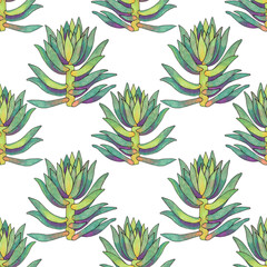 Fototapeta premium Seamless pattern green succulent cotyledon home plant on white background. Art creative hand-drawn object for card, sticker, wallpaper, textile or wrapping