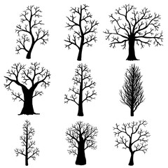 Vector set of silhouettes of bare autumn tree on white background.