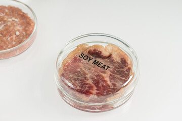 Covered petri dish containing piece of raw laboratory grown soy meat