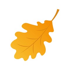 Naklejka premium Autumn dead leaves isolated on white background