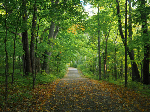 Early autumn paved trail