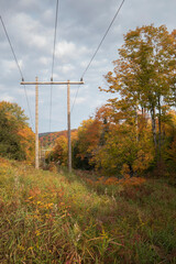 Hydro corridor through the forest in Ontario in autumn