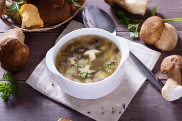 Mushroom soup plate with porcini mushrooms, fresh parsley and pepper on rustic texture background