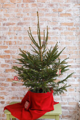 Christmas tree in red blanket on background of brick wall. New Year composition with spruce